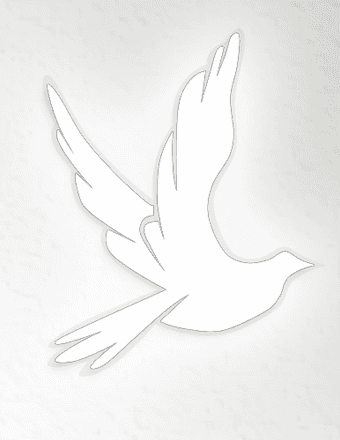 Diana Price Obituary